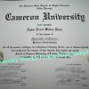 Deluxe Diploma plus Transcripts - Image 7