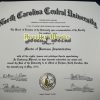 Diploma and Transcripts - Image 36