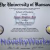 Diploma and Transcripts - Image 2