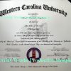 Diploma and Transcripts - Image 13